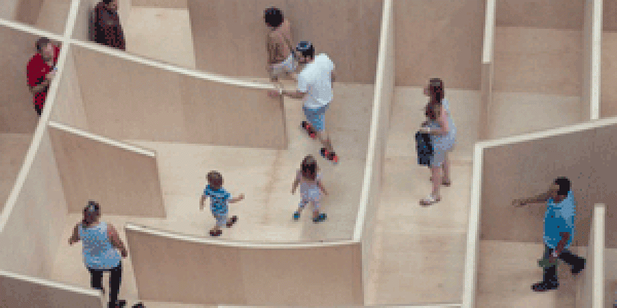 People searching through a maze