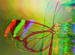 Stylised image of butterfly.