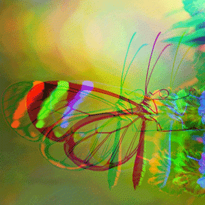 Stylised image of butterfly.